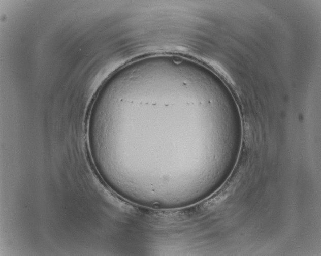 X0000074330895200609082029