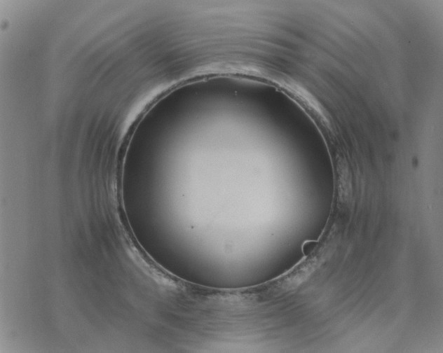 X0000074330896200609082029