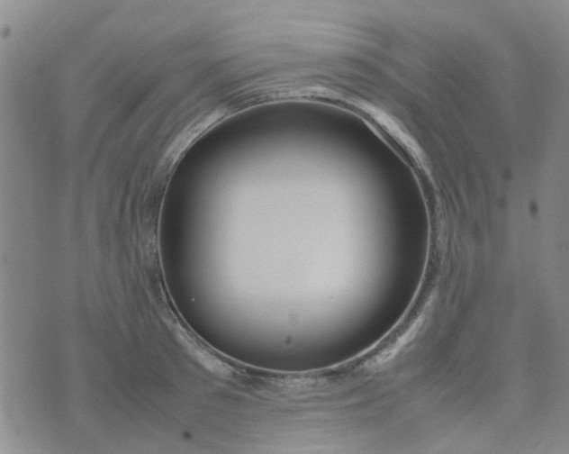 X0000074330897200609082029