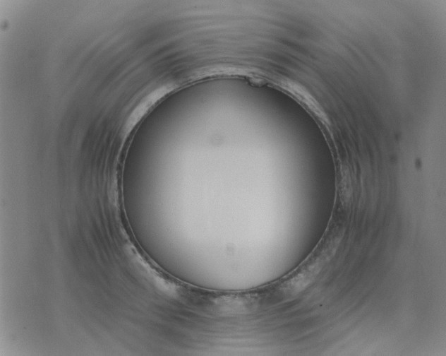 X0000074330898200609082029