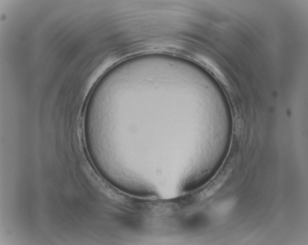 X0000074330899200609082029