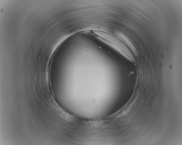 X0000074330900200609082029