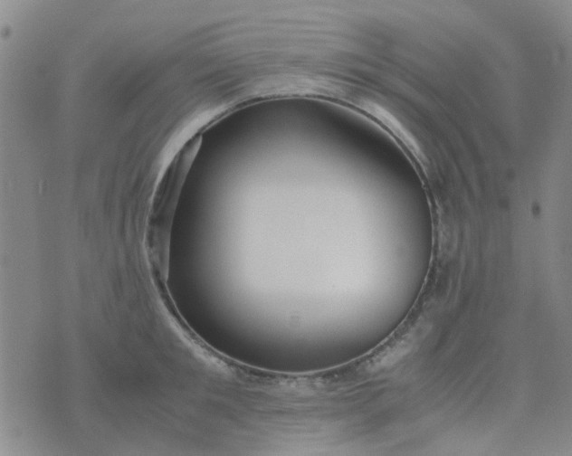 X0000074330901200609082029