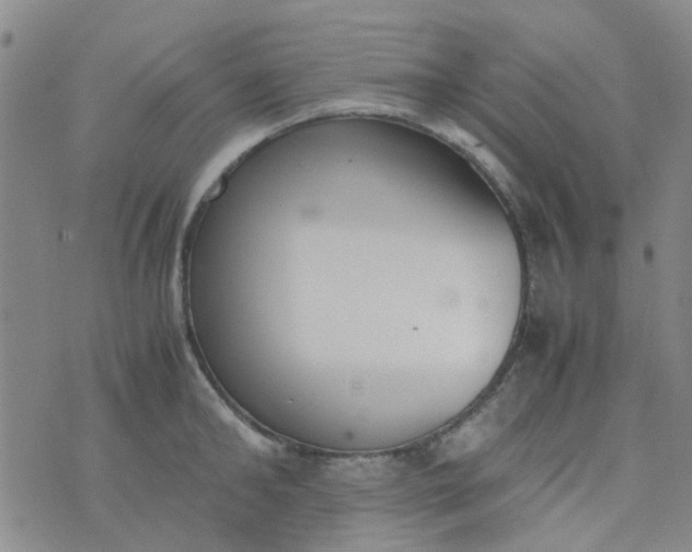 X0000074330902200609082029