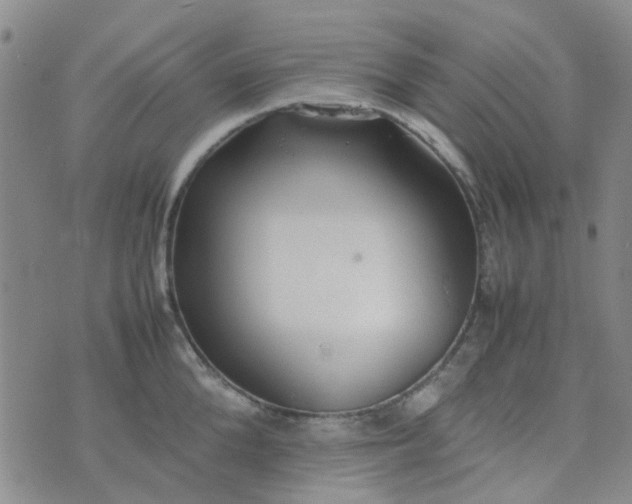 X0000074330904200609082029