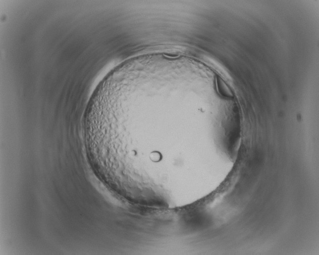 X0000074330907200609082029