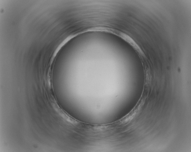 X0000074330908200609082029