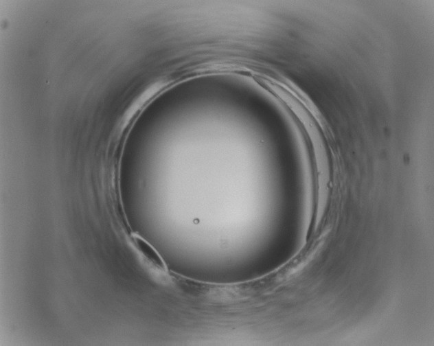 X0000074330909200609082029