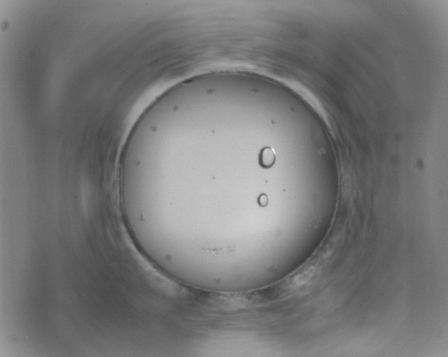 X0000074330911200609082029