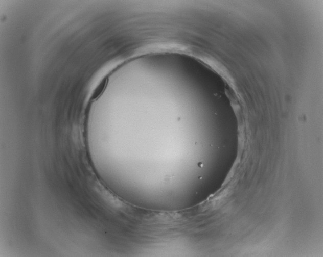 X0000074330912200609082029