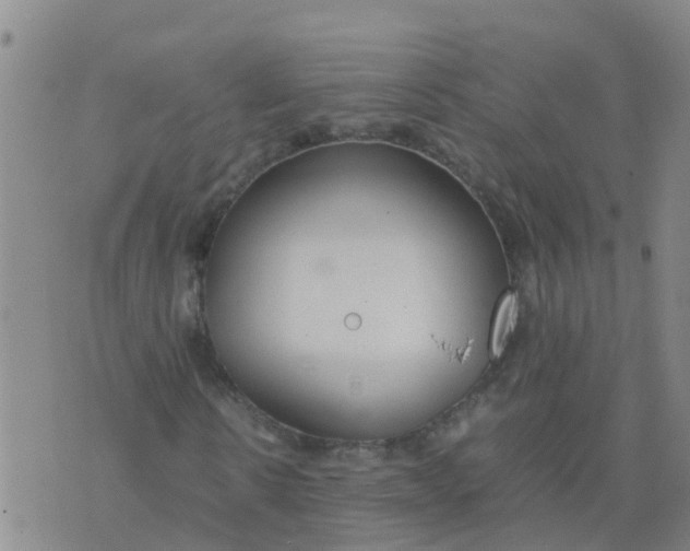 X0000074330914200609082028