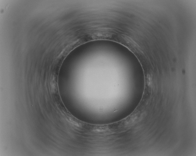 X0000074330915200609082028