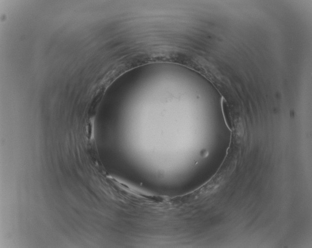 X0000074330916200609082028