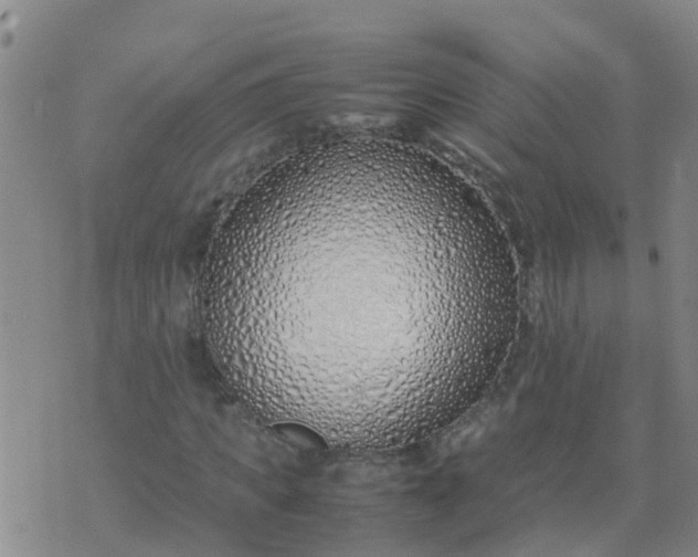 X0000074330917200609082028