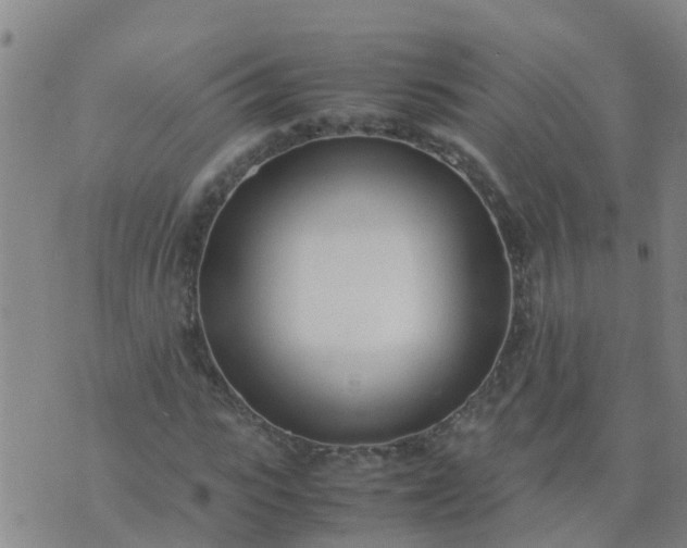 X0000074330919200609082028