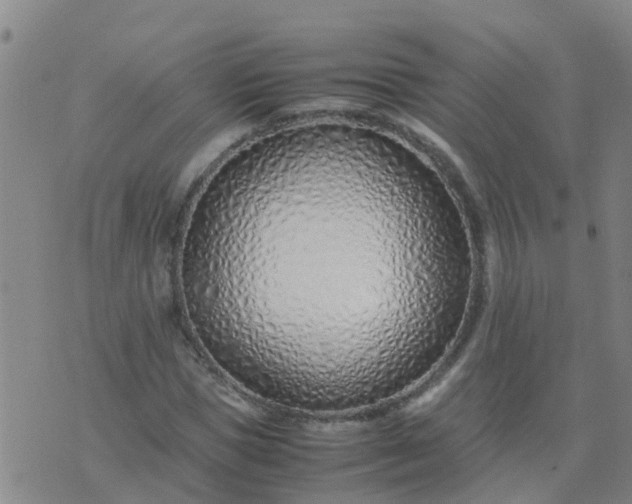 X0000074330921200609082028