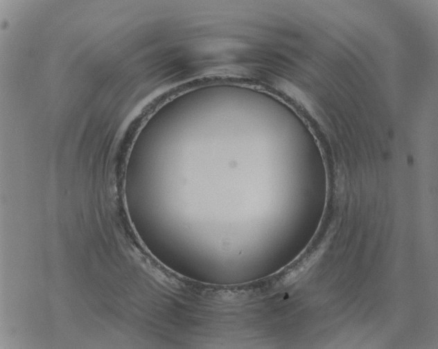 X0000074330923200609082028