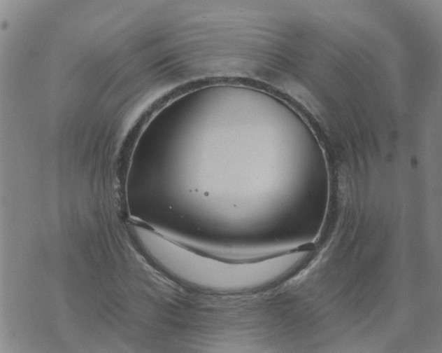 X0000074330926200609082028