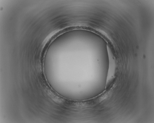 X0000074330927200609082028