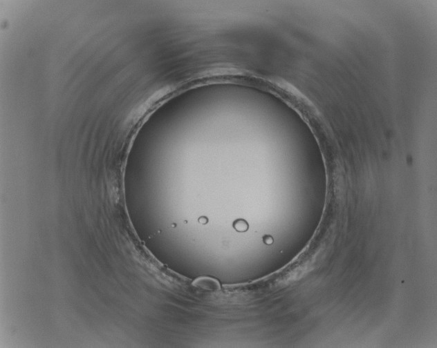 X0000074330929200609082028