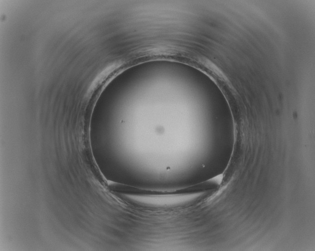 X0000074330930200609082028