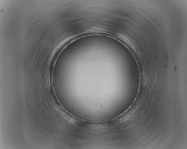 X0000074330931200609082028