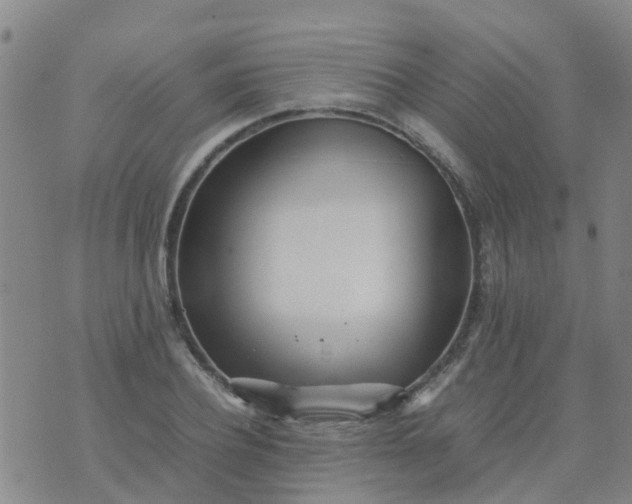 X0000074330932200609082028