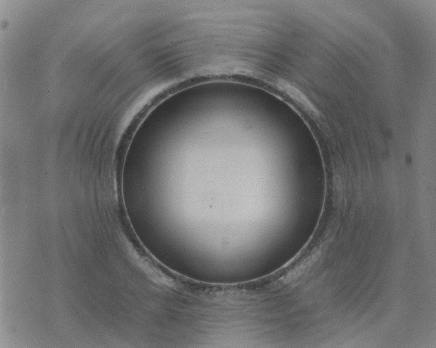 X0000074330934200609082028