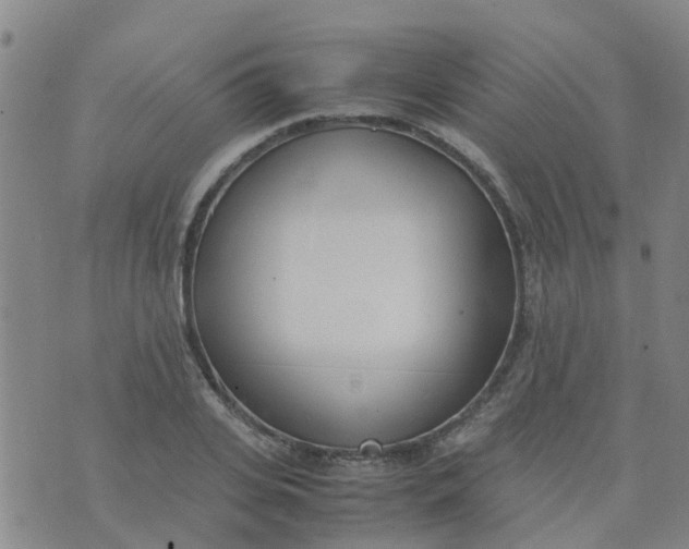 X0000074330935200609082028