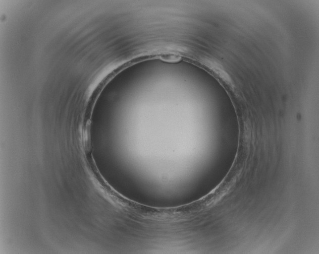 X0000074330936200609082028