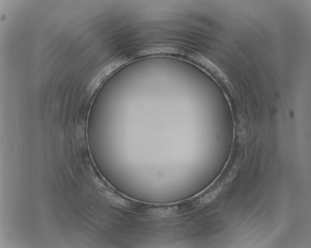 X0000074330937200609082028