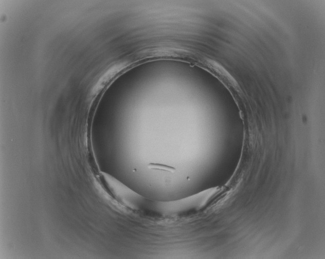 X0000074330938200609082028