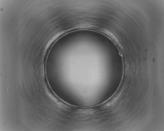 X0000074330939200609082028