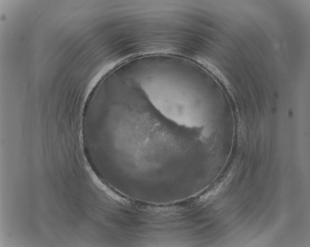 X0000074330941200609082029