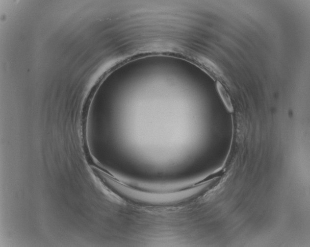 X0000074330942200609082029