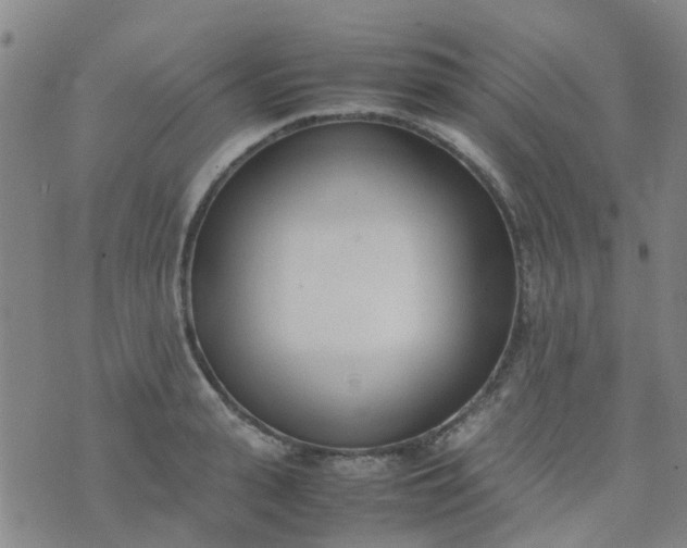 X0000074330943200609082029