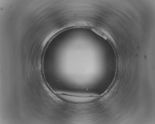 X0000074330944200609082029