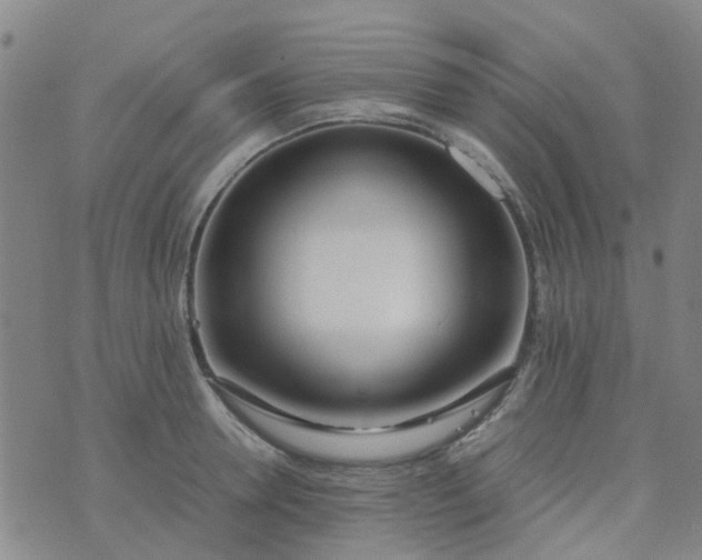 X0000074330946200609082029