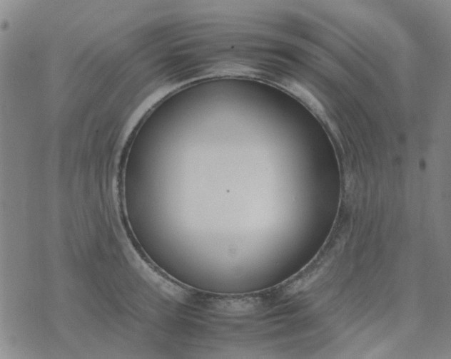 X0000074330947200609082029