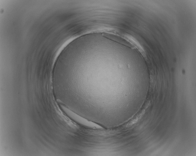 X0000074330948200609082029