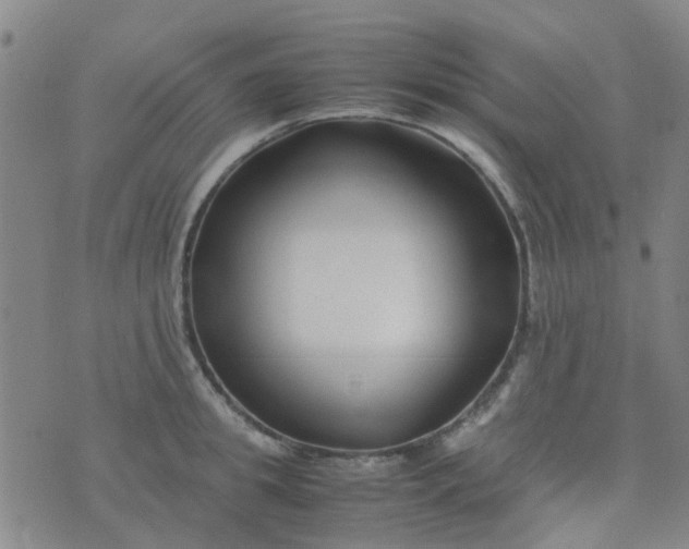 X0000074330949200609082029