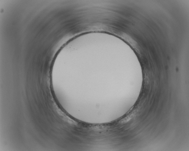 X0000074330950200609082029