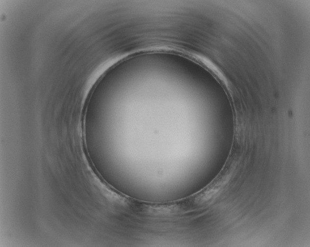 X0000074330951200609082029