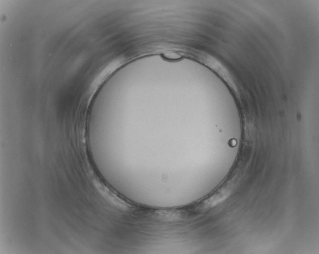 X0000074330954200609082029