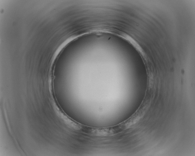 X0000074330955200609082029