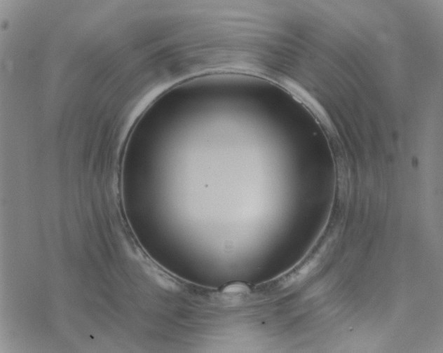 X0000074330956200609082029