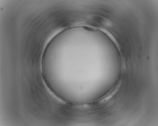 X0000074330957200609082029