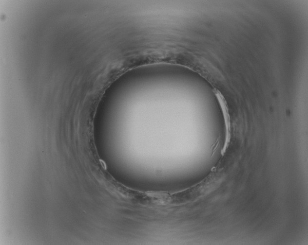 X0000074330961200609082028