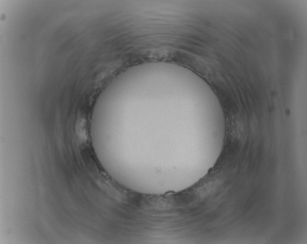 X0000074330962200609082028