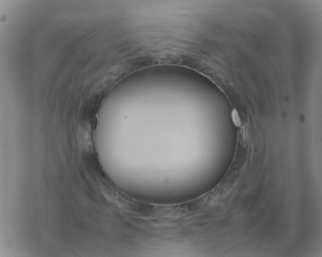 X0000074330963200609082028